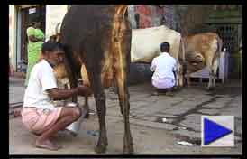 Indien Film R&auml;derwerk